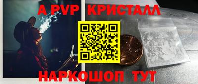 стаф Гай
