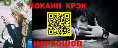 стаф Гай