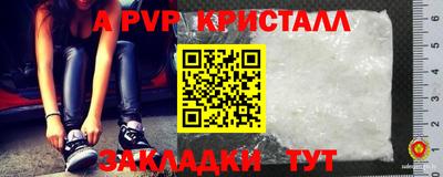 стаф Гай