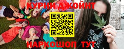 стаф Гай