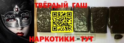 стаф Гай