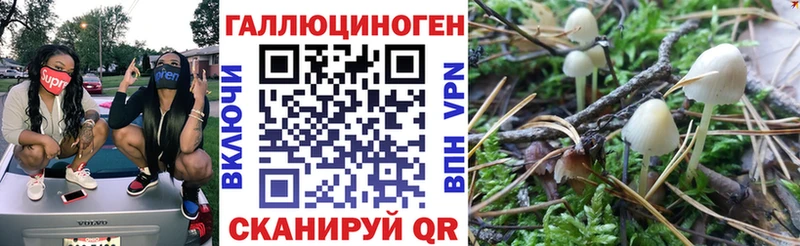 ОМГ ОМГ зеркало  Мценск  Псилоцибиновые грибы Magic Shrooms 